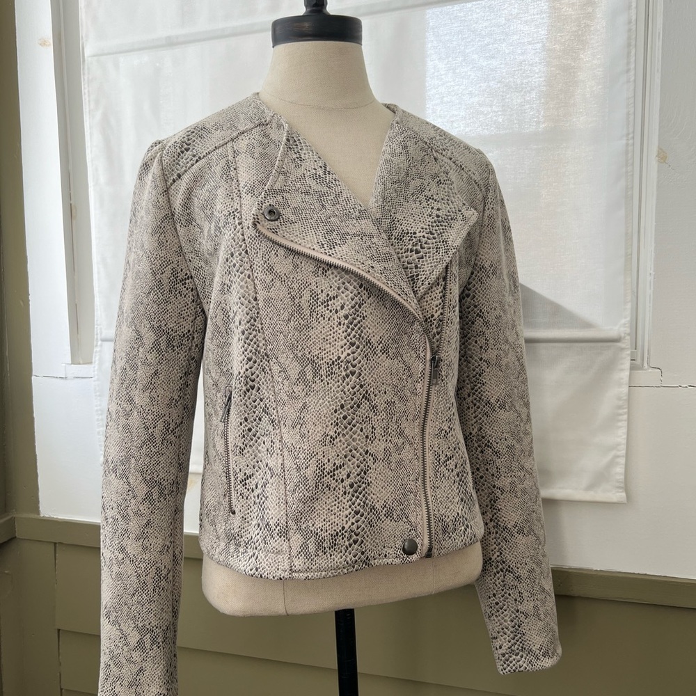 Cupcakes & Cashmere Isabelle snake-print Moto S
